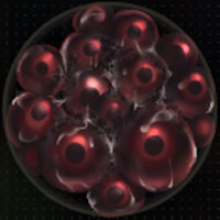 SiNiSistar2 - 異常データ